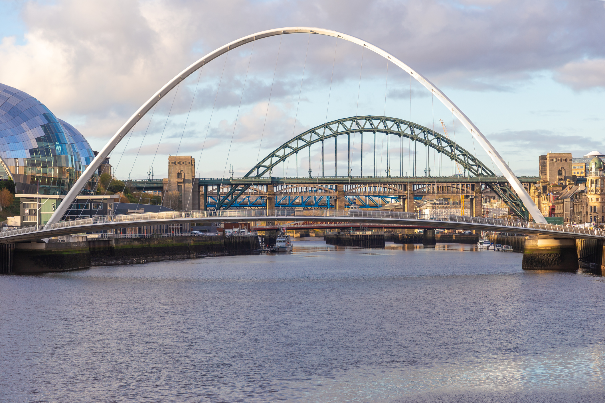 Newcastle local property guide